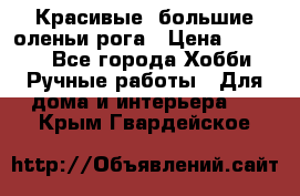 Красивые  большие оленьи рога › Цена ­ 3 000 - Все города Хобби. Ручные работы » Для дома и интерьера   . Крым,Гвардейское